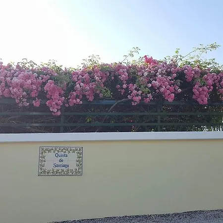 Solo Vivo Εξοχικό σπίτι